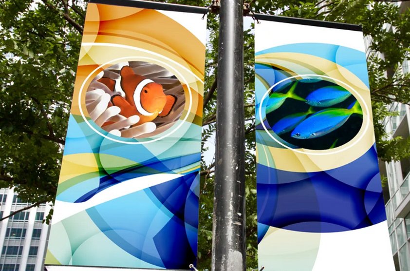 Banners & Hoarding
